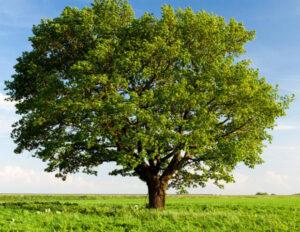 La sophrologie relie le corps et l'esprit