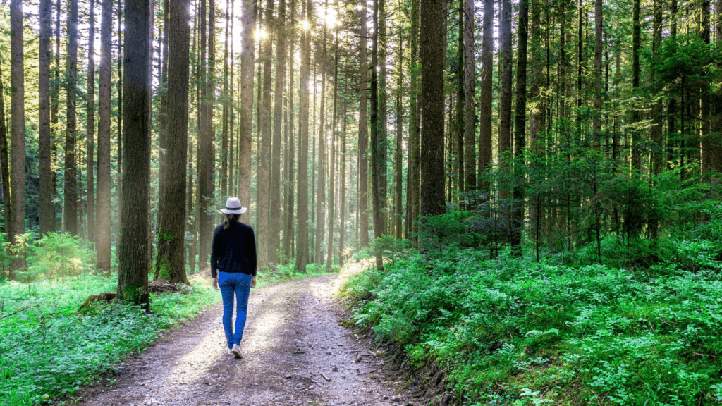 Femme marchant sur un chemin en forêt, illustrant les bienfaits de la sophrologie sur le bien-être et l’équilibre intérieur.