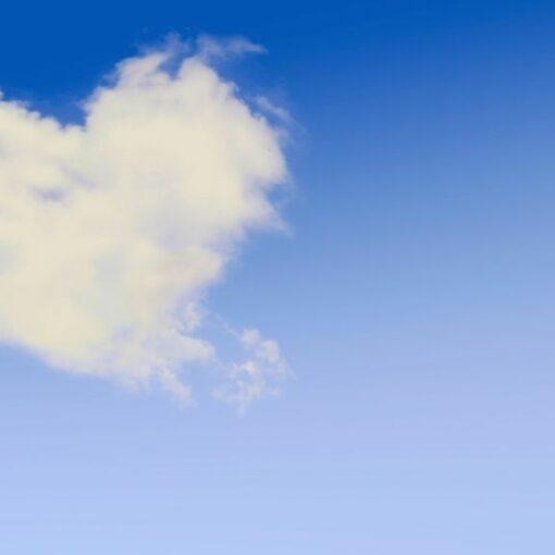 Sans émotions, il est impossible de transformer les ténèbres en lumière et l'apathie en mouvement