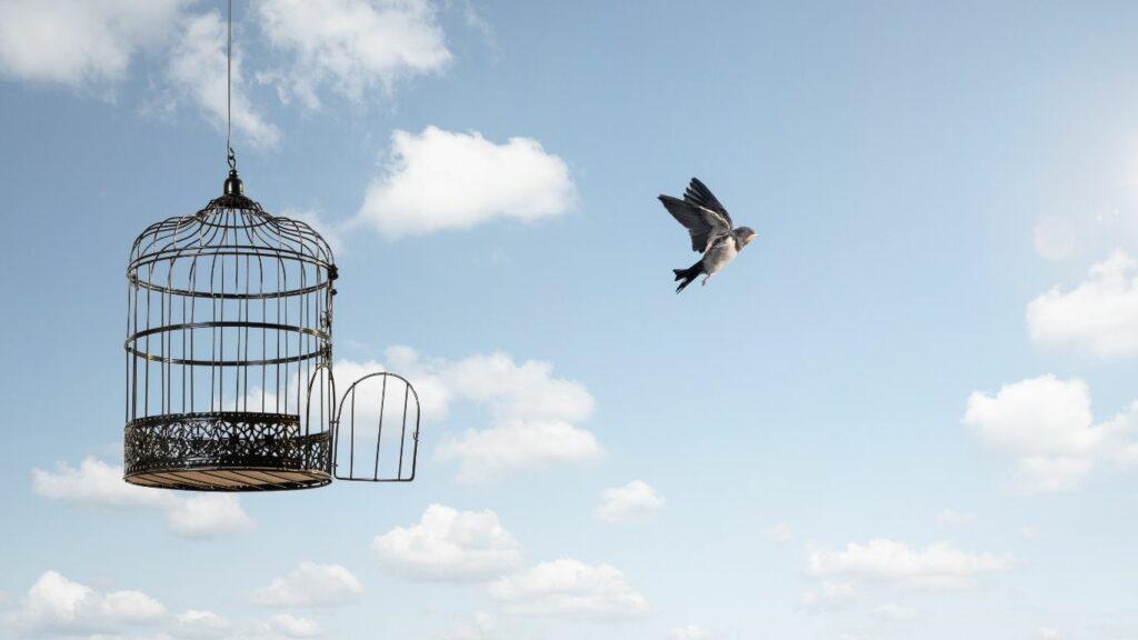 Oiseau s’envolant hors d’une cage vers le ciel, illustrant la transformation intérieure et la liberté de voler vers sa nouvelle vie - méthode C.L.A.I.R.E